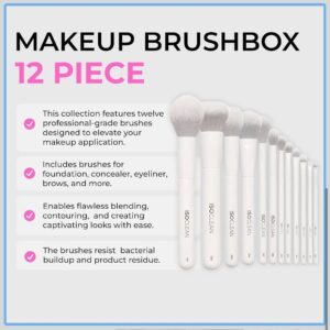 ISOClean Makeup Brush Box - 12 Piece Brush Set - Image 2